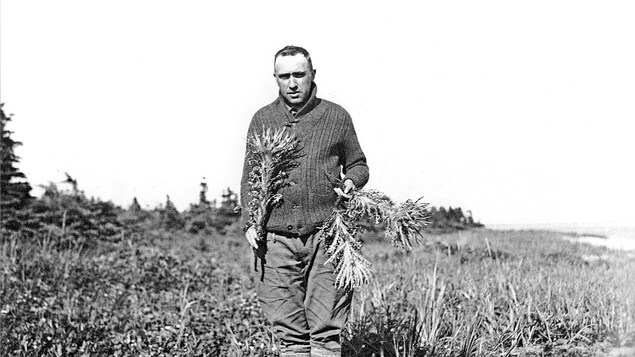 Photo d'archives montrant le frère Marie-Victorin récoltant des plantes en 1928 sur la Grande-Île à la Vache Marine, dans l'archipel de Mingan.