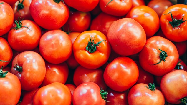 Des tomates