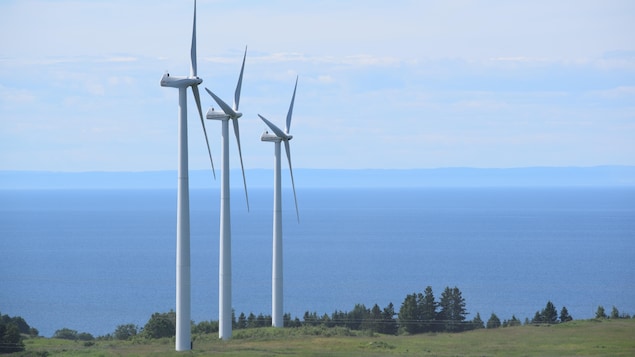 Le Developpement De L Eolien C Est Dans Les Plans Dit La Pdg D Hydro Quebec Radio Canada Ca