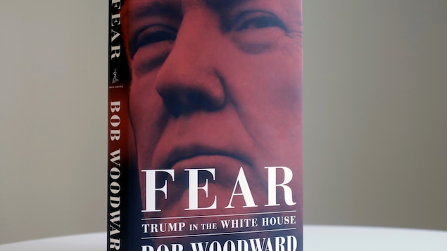 Le visage de Donald Trump est en rouge pour illustrer le livre. 