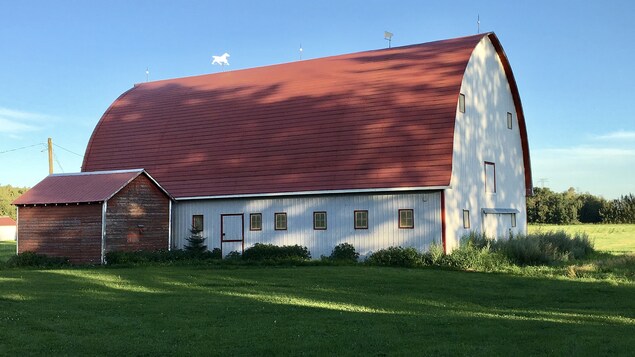 Une grange en bois dans un champ. Le toit est rouge et les murs blancs. Une grange en bois dans un champ. Le toit est rouge et les murs blancs.
