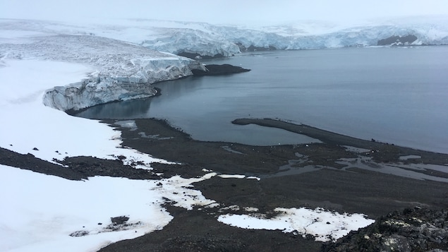 Le glacier Collins sur l’île du Roi George dans l'Antarctique, le 2 février 2018.  