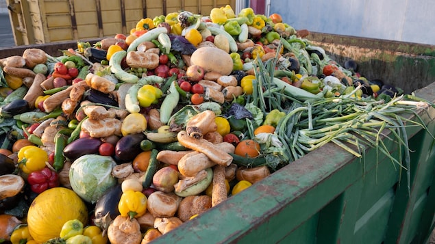 Grand conteneur à déchets rempli d'aliments.