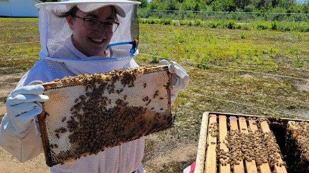 Geneviève Desrochers présente une ruche d'abeilles. 