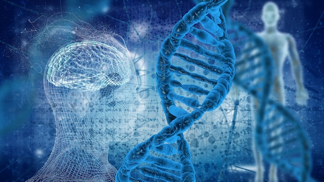 Vue informatisée d'un corps humain et d'une tête humaine sur lesquels est superposée la modélisation de deux séquences d'ADN.
