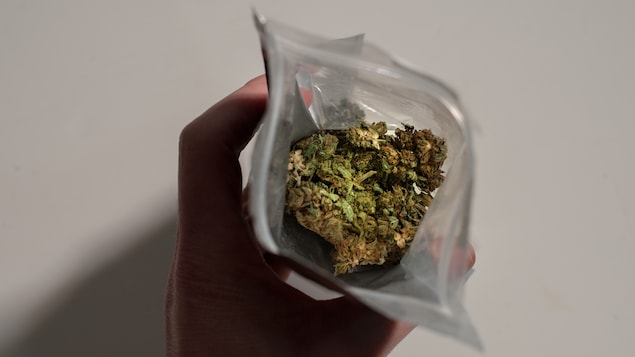 Gros plan d'un paquet de marijuana