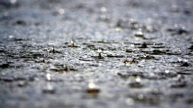 « Veille d’inondation » le long de la côte du lac Érié