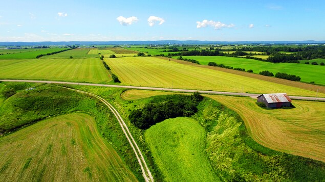 Une vue aérienne montre des champs cultivés dans la campagne québécoise. Une vue aérienne montre des champs cultivés dans la campagne québécoise.