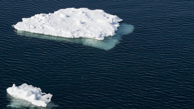 Un immense morceau de glace flotte sur l'eau. 