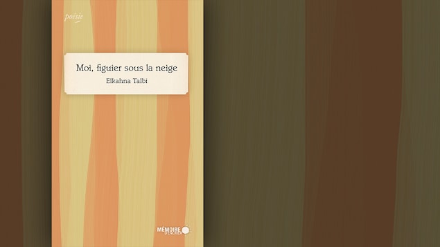 La couverture du livre « Moi, figuier sous la neige » d'Elkahna Talbi : le titre du livre sur fond rayé à la verticale orangé et jaune. La couverture du livre « Moi, figuier sous la neige » d'Elkahna Talbi : le titre du livre sur fond rayé à la verticale orangé et jaune.