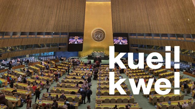 Travaux de Instance permanente de l'ONU sur les questions autochtones