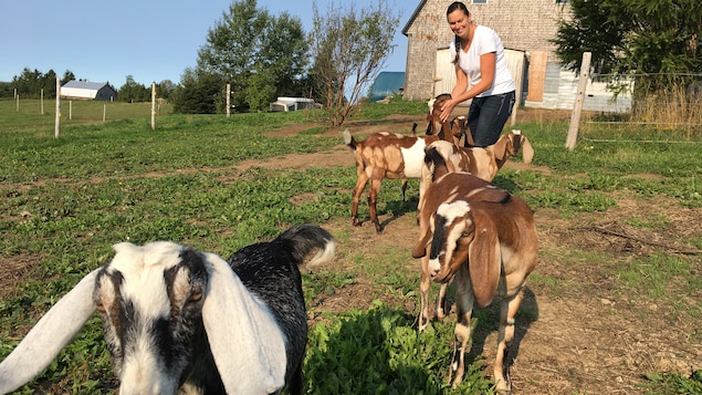 Isabelle Béchard avec ses chèvres de la ferme Les biquettes de la coulée.