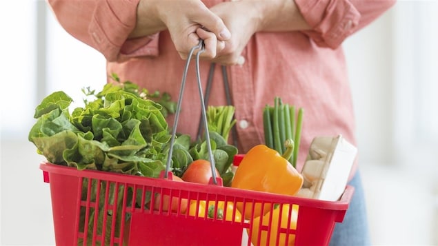 Une personne tient un panier d'épicerie avec dedans des légumes.