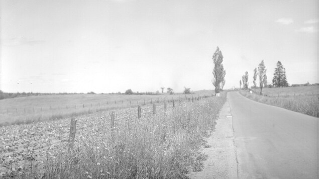 Une photo d'une vieille route.