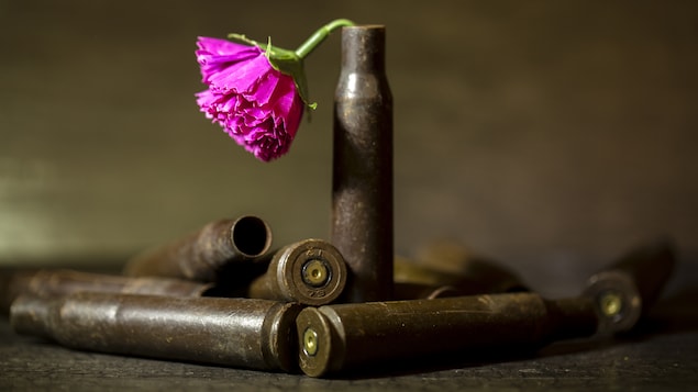 Une fleur sur des balles de fusil 