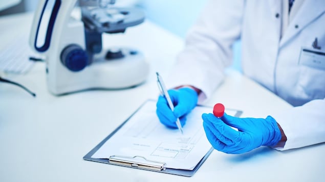 On aperçoit deux mains avec des gants médicaux bleus qui manipulent un échantillon de sang dans un laboratoire tout blanc.