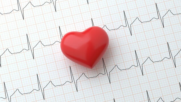 Un cœur déposé sur un électrocardiogramme. 