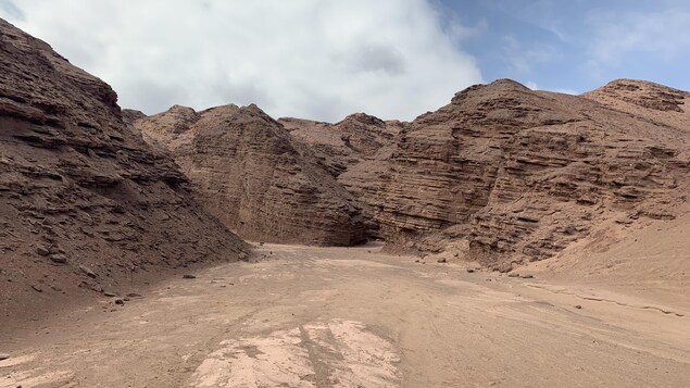 Une suite de collines rocheuses, de couleur rougeâtre, au milieu d'un désert.