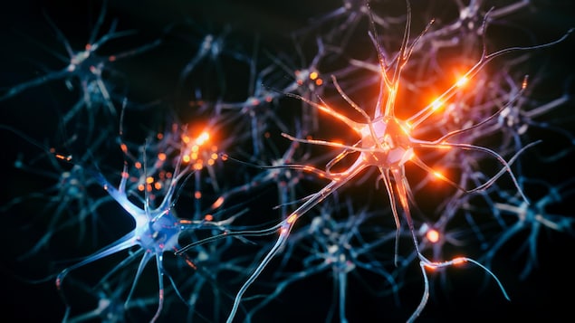 Le système neuronal du cerveau en train de recevoir des signaux.