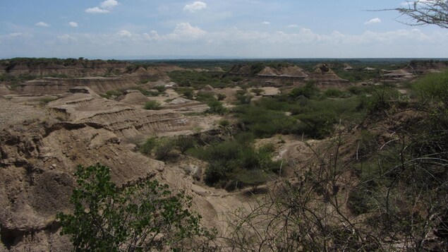 La formation géologique Kibish en Éthiopie.