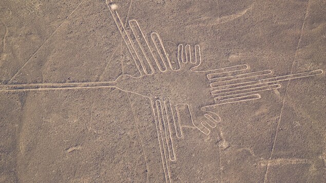 Un géoglyphe en forme de colibri vu du ciel.