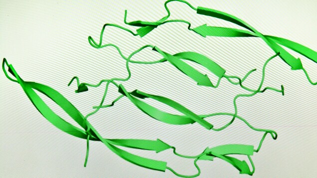 Illustration impressionniste de bandes vertes claires qui apparaissent, sous forme de serpentins, sur un fond pâle.