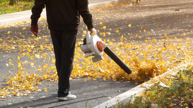 Un homme souffle des feuilles avec un souffleur à gaz sur la rue. 