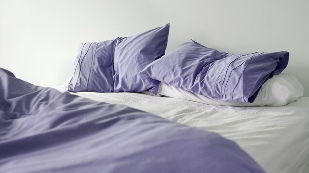 Quelques oreillers et des draps défaits sur un lit en bleu et blanc.