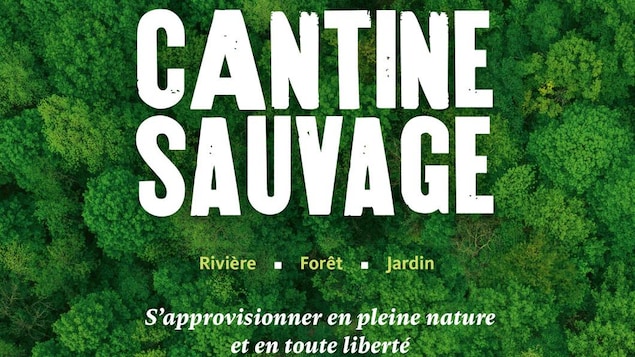 Couverture du livre Cantine Sauvage.