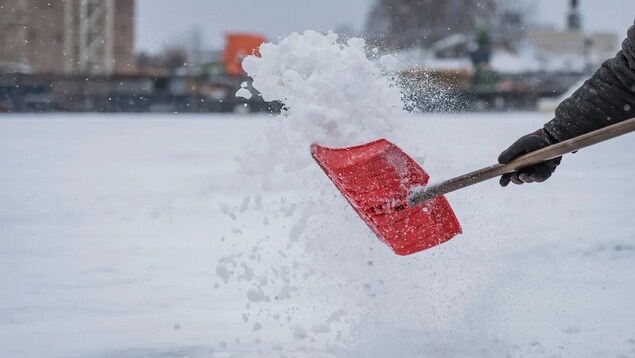 Une pelle rouge est pleine de neige.