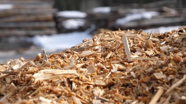 Une photo prise de près de nombreux copeaux de bois dans une scierie.