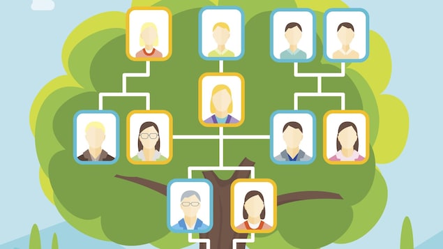 Un dessin en couleur montre l'arbre généalogique d'une famille.