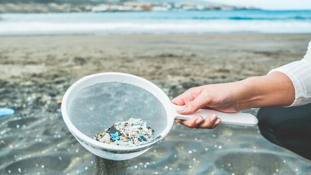 Une personne ramasse des microplastiques sur un bord de plage avec une passoire.