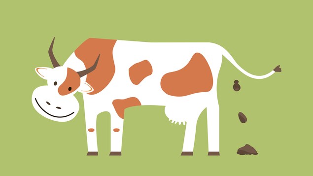 Illustration d'un excrément de vache