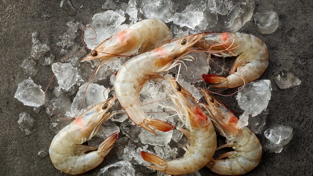 Les crevettes fraîches sont un leurre puisqu'elles sont congelées en premier lieu, selon Lesley Chesterman.