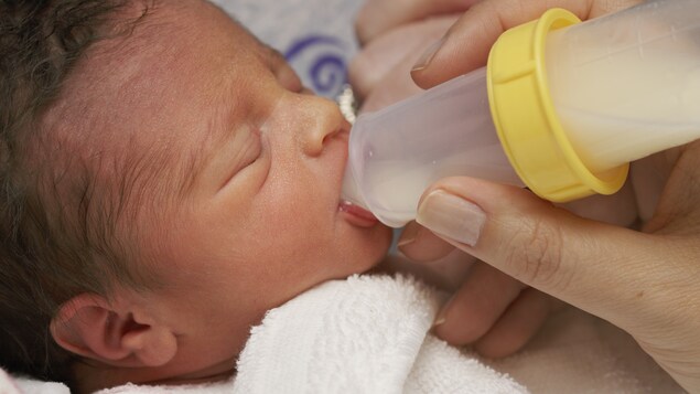 Un bébé prématuré de quelques semaines boit du lait.
