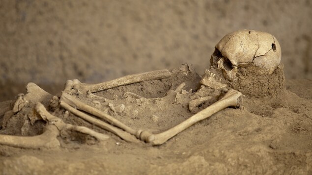 Sur un terrain sablonneux, un squelette humain sort de la terre. On voit le crâne et les bras et une partie des os des jambes. 