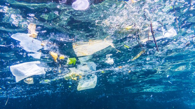 Des morceaux de plastique flottent dans un océan. Des morceaux de plastique flottent dans un océan.