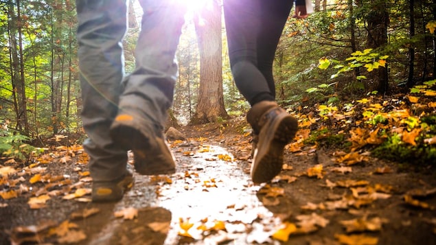 Deux personnes marchent dans la forêt. 