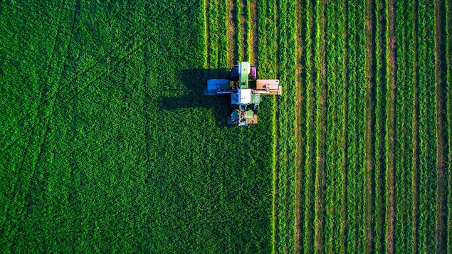 Marie-Claude Bibeau annonce un investissement dans les technologies agricoles vertes