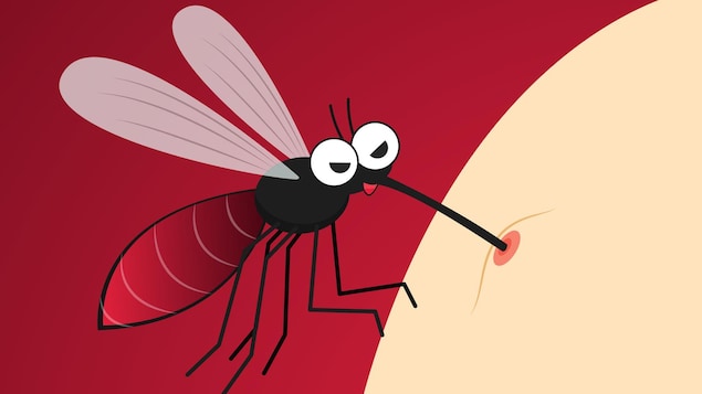 Attention : les moustiques pourraient être attirés… par le chasse-moustiques!