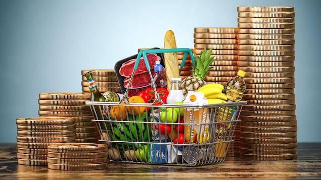 Montage photo d'un panier de courses rempli de produits alimentaires et entouré de pièces de monnaie.