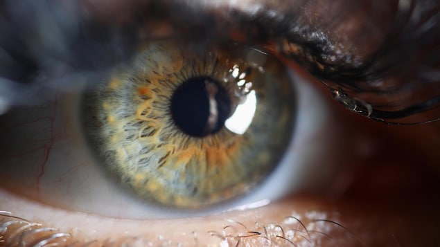 Très gros plan sur l'iris d'un œil humain.