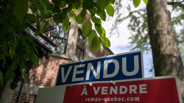 Changes in real estate brokerage law are still misunderstood in Quebec