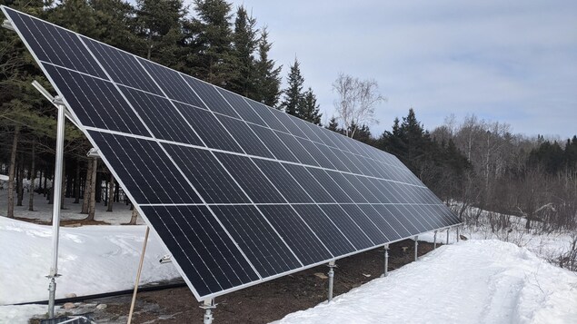 Des panneaux solaires sur un terrain privé près d'une forêt, avec de la neige.