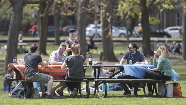 Six personnes sont assises autour de tables de pique-nique, à distance réglementaire en temps de pandémie, dans un parc de Montréal.