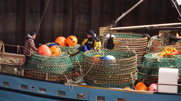 Davantage de crabes des neiges cette année, selon les pêcheurs