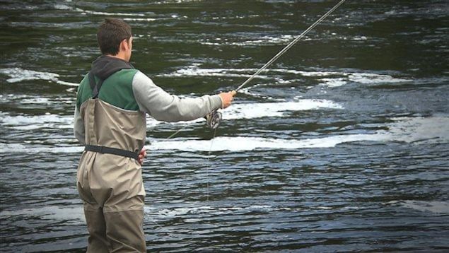 De grands saumons pourront être pêchés et conservés dans certaines rivières