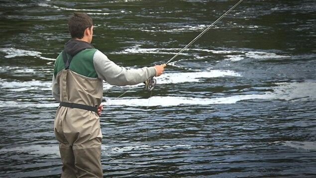 Un pêcheur dans une rivière à saumons Un pêcheur dans une rivière à saumons