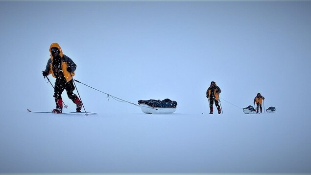 Trois hommes marchent à ski dans la neige en tirant des traîneaux. 